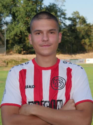 Dimitrije Dordevic