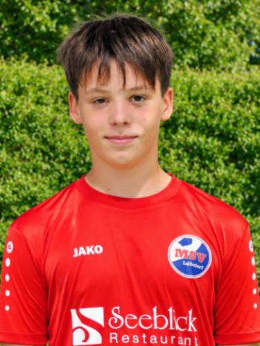 Hardi Wengert