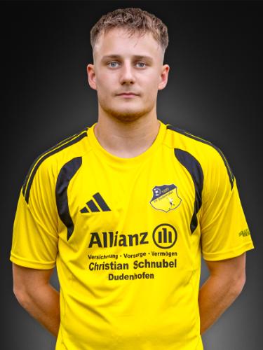 Luca Henrich