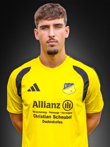 Max Laubersheimer