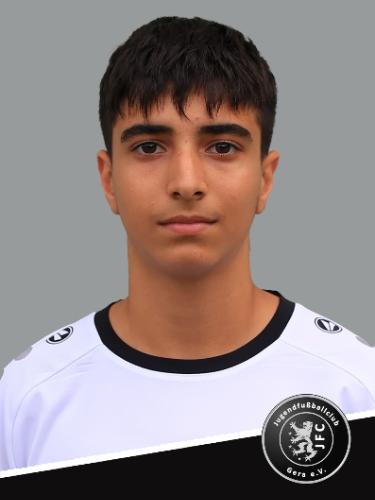 Mohammad Tamin Mohammadi