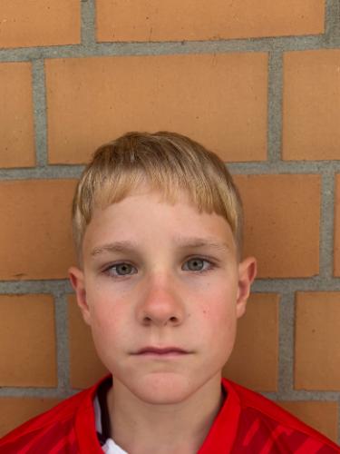 Tamino Harjes