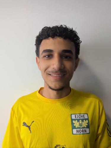 Abdulrahman Muhieddin