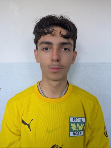 Leon Simnica