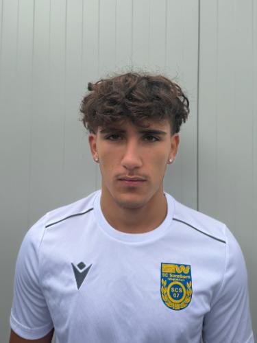 Tofik Hamza Bilal Hammoud