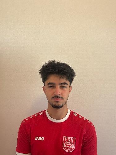 Anil Aydemir