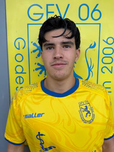 Dario Javier Lourido Stolzenburg