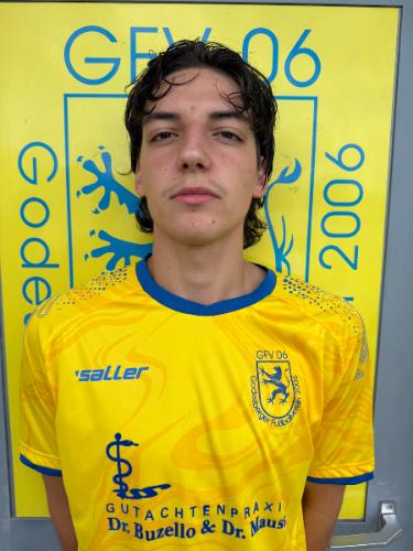 David-Gabriel Fefea