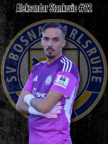 Aleksandar Stankovic