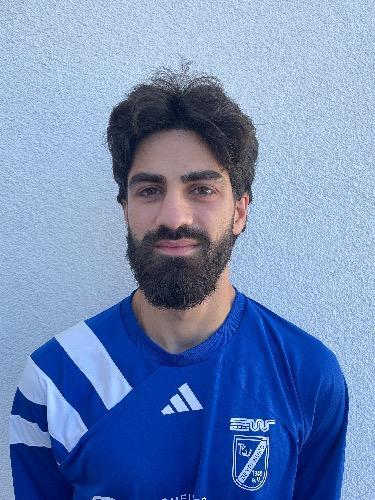 Mario Alfredo Raffaele