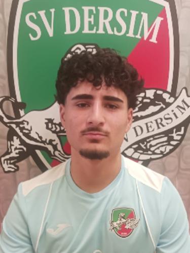 Liwan Temur