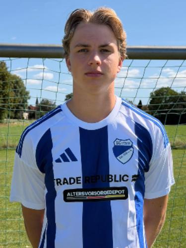 Hendrik Schulz