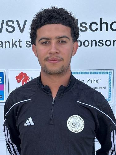 Mohammed Nasr-Alla Zaovi