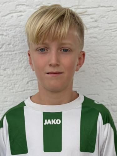 Xaver Hollwegs