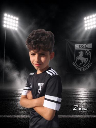 Mohammad Zaid