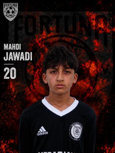 Mahdi Jawadi