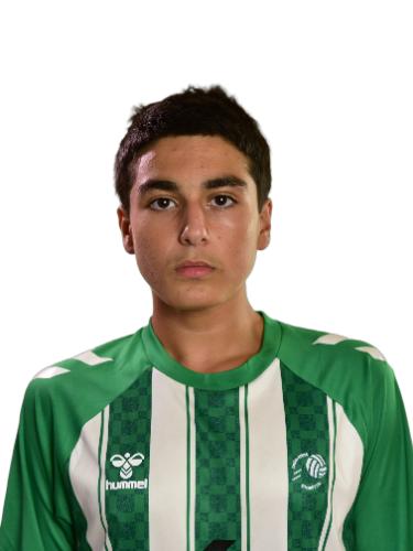 Barsam Ajoudani