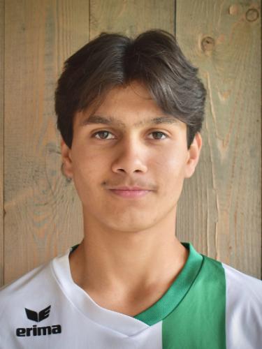 Mostafa Hesham Walizada