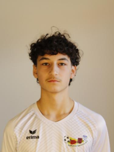 Arda Temur