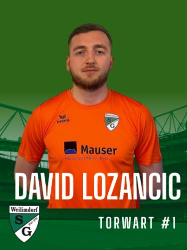 David Lozancic