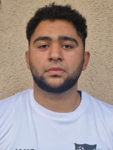 Mohamad Alhajjl