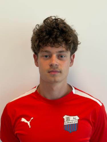 Luca-Andrei Stefanita