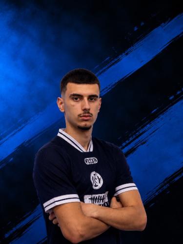 Almin Dizdarevic