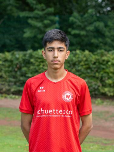 Taha Mardani