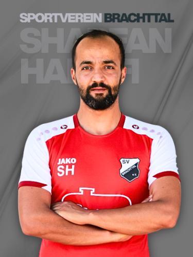 Sharfan Hanafi