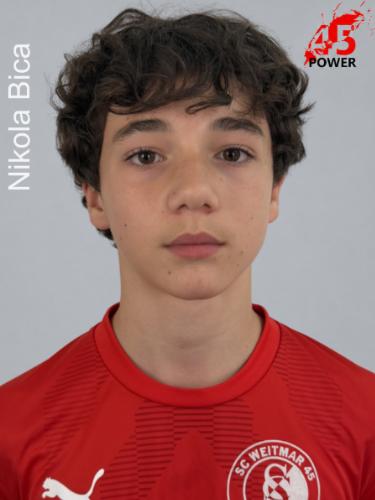 Nikola Bica