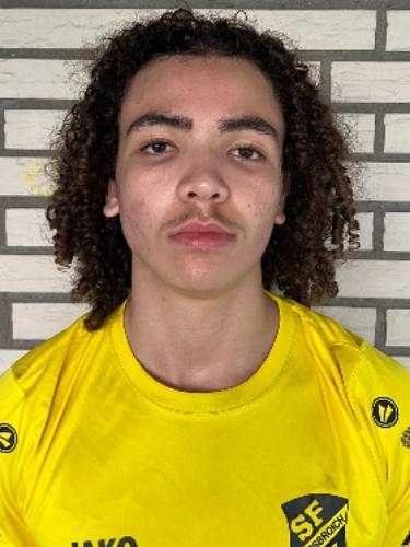 Ahmed Maaoui