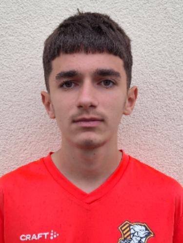 Dardan Behrami