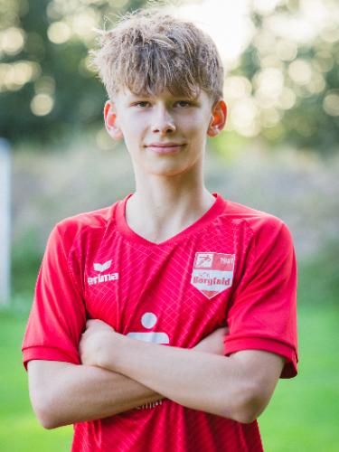 Niklas van Lengen