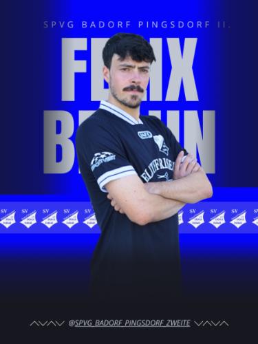 Felix Braun