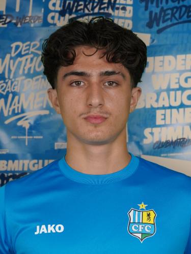 Fernando Savas Torres Rodriguez