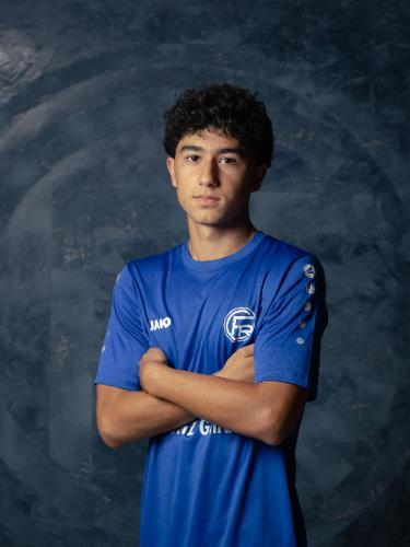 Raul Huliiev