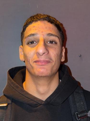 Luca El-Shaer