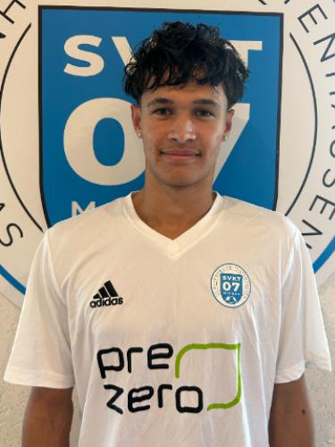 Björn Ulrich Hinkeldei