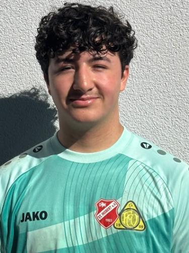 Hasan Horia