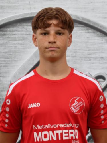 Niko Dimber