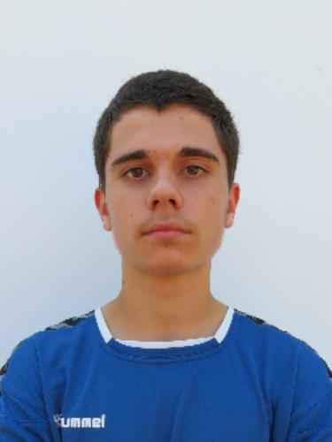 Boris Dinev