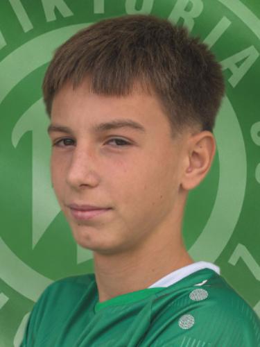 Hasan Güzeldal