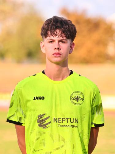 Niklas Hein