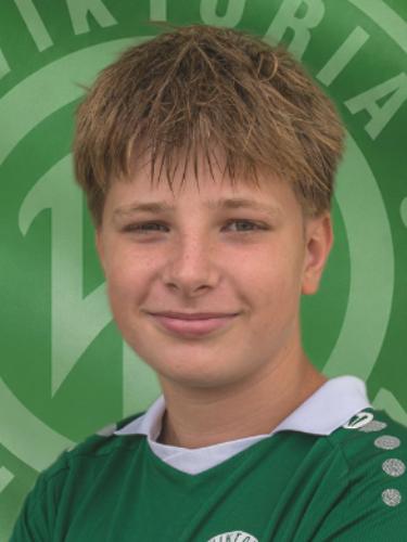 Theo Osterholt