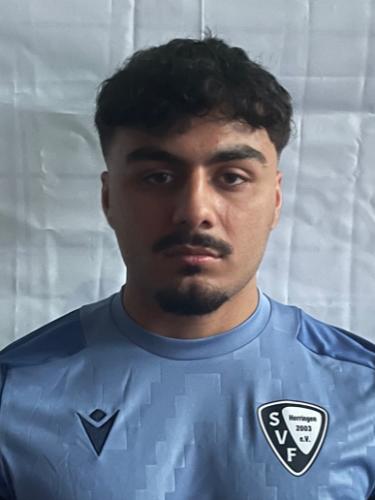 Arda Besli