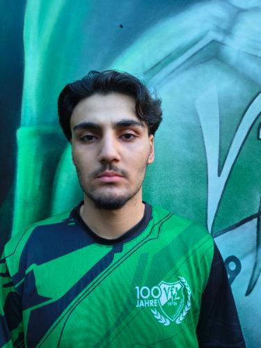 Amirsam Kamali