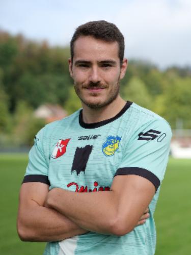 Julius Schmitt