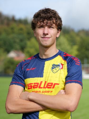Timo Kolb