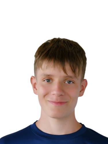 David Ziub