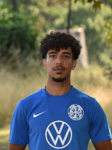 Mohammed Hayder Gharkan Al-Zamili